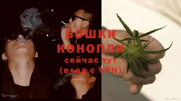 ALPHA PVP Медвежьегорск