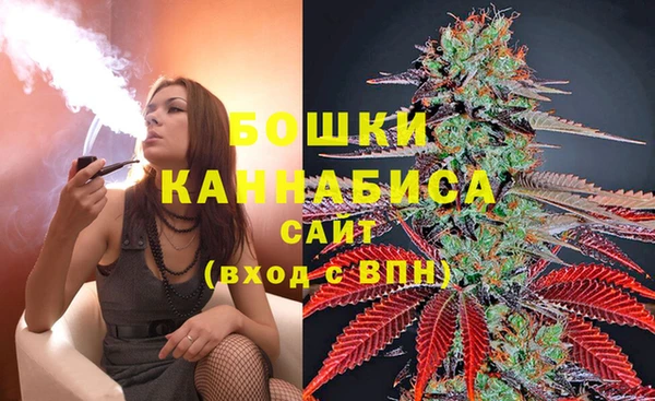 apvp Мегион