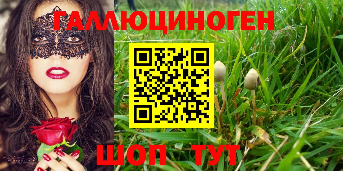 Псилоцибиновые грибы ЛСД  Галлюциногенные грибы Magic Shrooms  Таганрог  Вход с VPN 